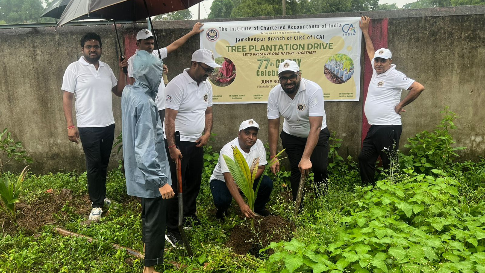 Tree Plantation Drive